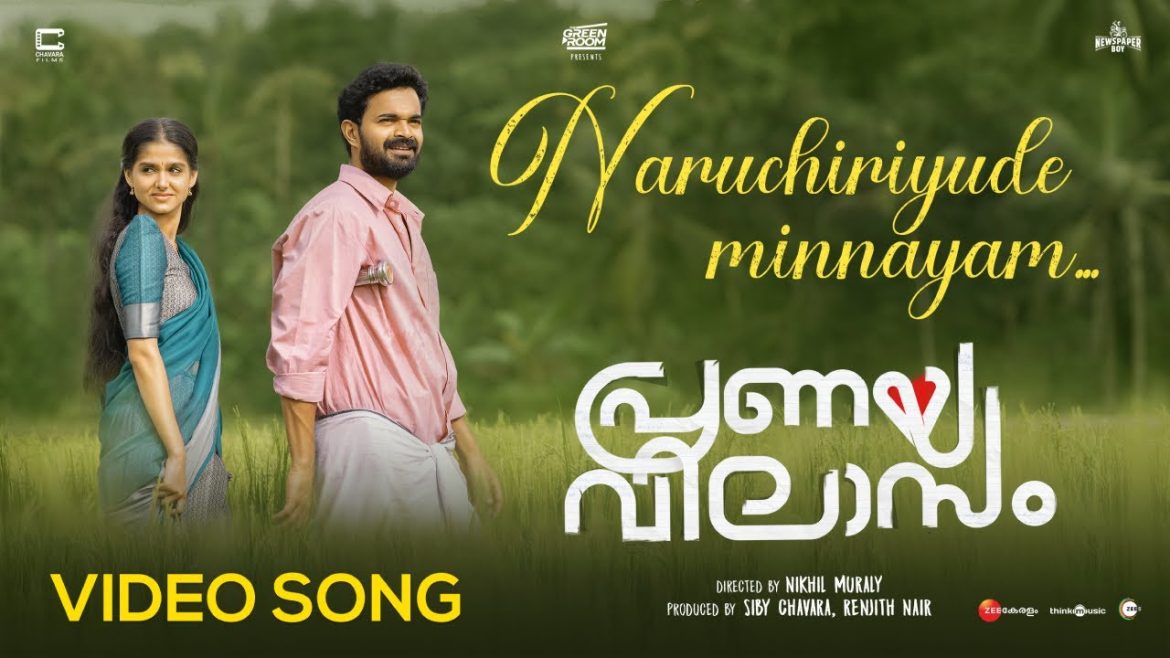 പ്രണയ വിലാസം സിനിമയിലെ നറുചിരിയുടെ മിന്നായം വീഡിയോ ഗാനം പുറത്തിറങ്ങി